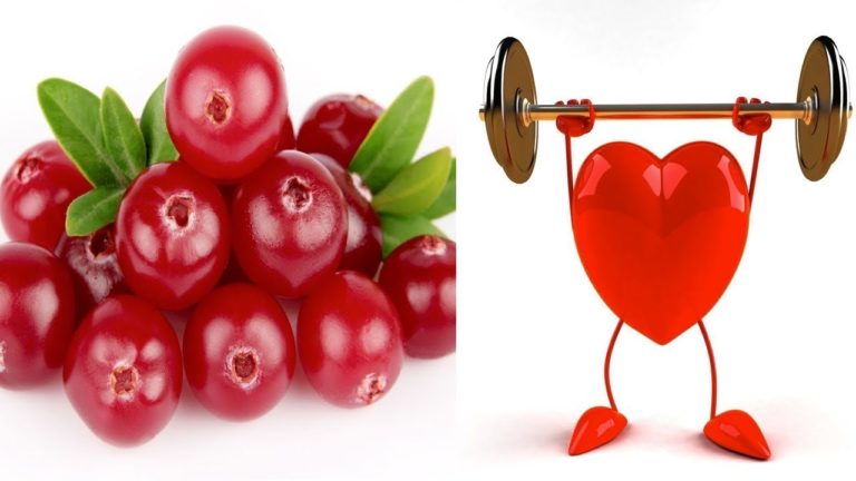 Health Benefits Of Cranberries | Life well lived