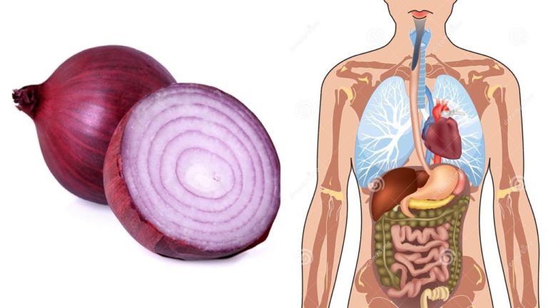 10 Useful Ways to Use Onions – Health Benefits of Onions