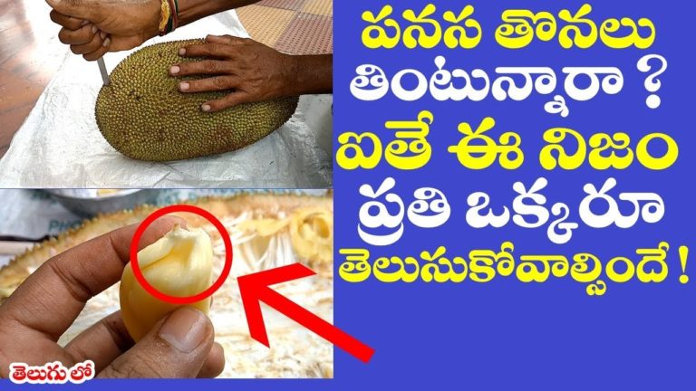 పనస తొనలు తింటున్నారా ? ఐతే ఈ నిజం మీరు తెలుసుకోవాల్సిందే || Jackfruit health benefits in telugu