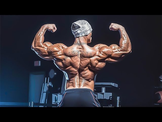 NO LIFE WITHOUT GYM #2 | Fitness Motivation NO LIFE WITHOUT GYM #2 | Fitness Motivation