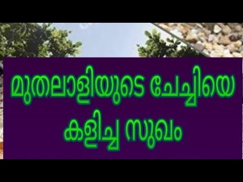 മുതലാളിയും സഹോദരിയും പിന്നെ എന്റെ ക്രീഢയും / Malayalam health tips