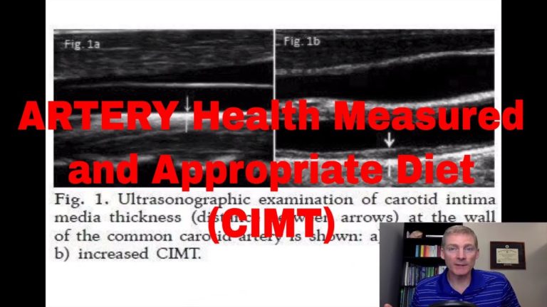 💖 Artery Health! Ketosis vs. Veganism. CIMT.