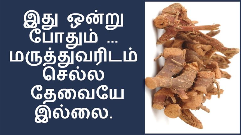 எல்லோர் வீட்டிலும் இருக்க வேண்டியது | Health Benefits of Galangal in Tamil