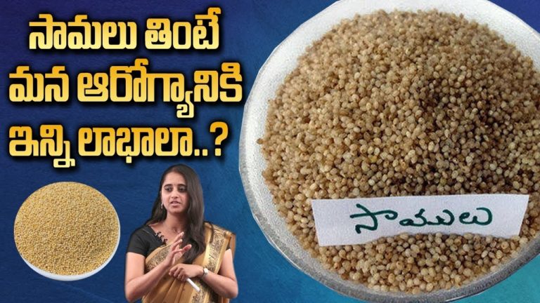 Health Benefits of Samalu || Little Millets || Dr Sarala || SumanTV Organic Foods Health Benefits of Samalu || Little Millets || Dr Sarala || SumanTV Organic Foods