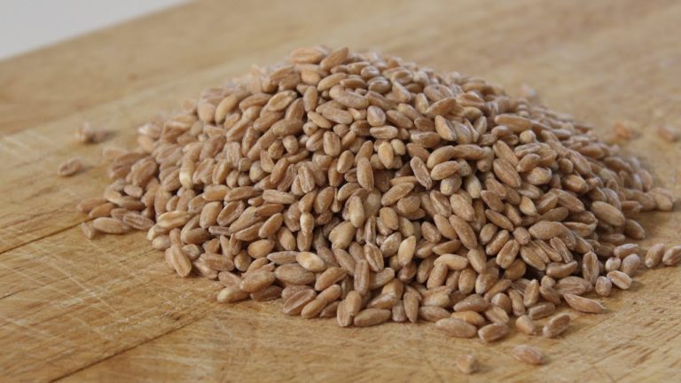 Mayo Clinic Minute: Discover the health benefits of farro Mayo Clinic Minute: Discover the health benefits of farro