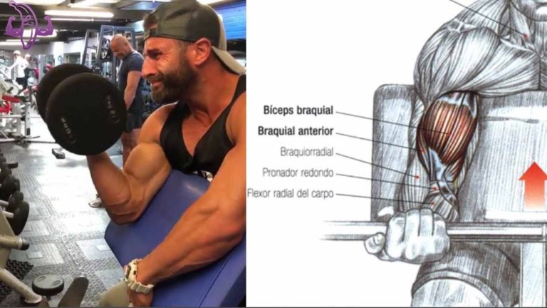 8 Ejercicios para Trabajar los Biceps Braquial y Biceps Femoral 8 Ejercicios para Trabajar los Biceps Braquial y Biceps Femoral