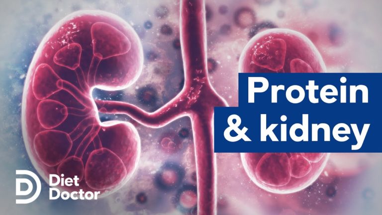 Protein and kidney health | Ep. 9