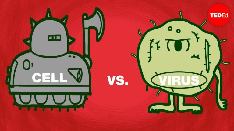 Cell vs. virus: A battle for health – Shannon Stiles