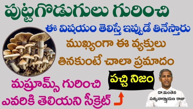 పుట్టగొడుగుల గురించి తెలిస్తే ఇపుడే తినేస్తారు| Health Benefits of Mushrooms| Manthena Satyanarayana