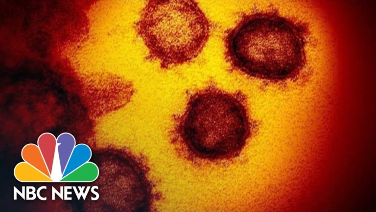 Health Experts Testify On Coronavirus Outbreak Before House | NBC News (Live Stream Recording)