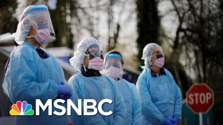 Infectious Disease Expert: Coronavirus Will Overwhelm US Health Care System | The 11th Hour | MSNBC