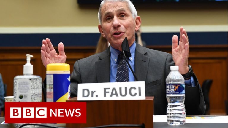 Top US health official Fauci warns of ‘disturbing’ new US surge – BBC News