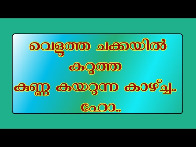 മുഴുത്ത ചക്ക.. ||meera’s health tips… മുഴുത്ത ചക്ക.. ||meera’s health tips…