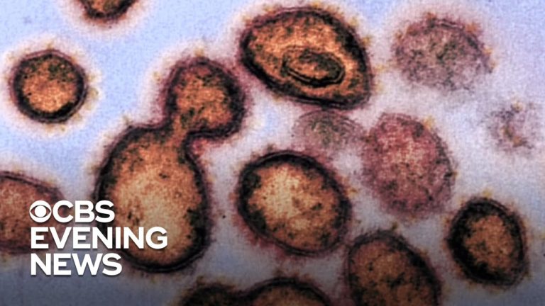 239 scientists warn World Health Organization of airborne transmission risks from coronavirus 239 scientists warn World Health Organization of airborne transmission risks from coronavirus