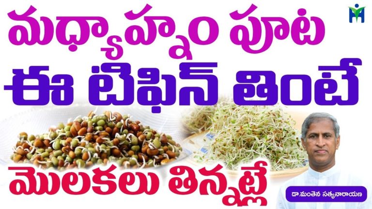 మధ్యాహ్నం ఈ టిఫిన్ తింటే మొలకలు తినట్లే | Manthena Satyanarayana Raju |Health mantra|