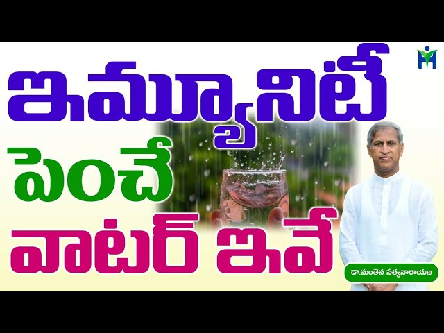 ఇమ్మ్యూనిటి పెంచే వాటర్ ఇవే | Manthena Satyanarayana raju videos | Health Mantra |