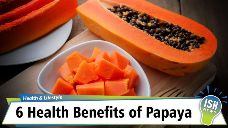 6 Health Benefits of Papaya 6 Health Benefits of Papaya