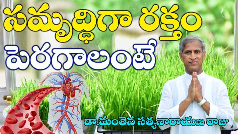 సమృద్ధిగా రక్తం పెరగాలంటే ? | Blood Improve Secret | Dr Manthena Satyanarayana Raju | GOOD HEALTH