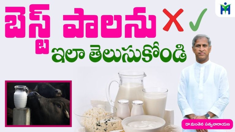 బెస్ట్ పాలను ఇలా తెలుసుకోండి | Manthena Satyanarayana Raju |Health mantra|