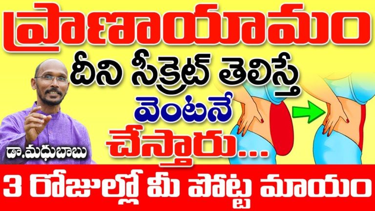 ప్రాణాయామం దీని సీక్రెట్ తెలిస్తే వెంటనే చేస్తారు | Belly Fat | Dr. Madhu Babu | Health Trends |