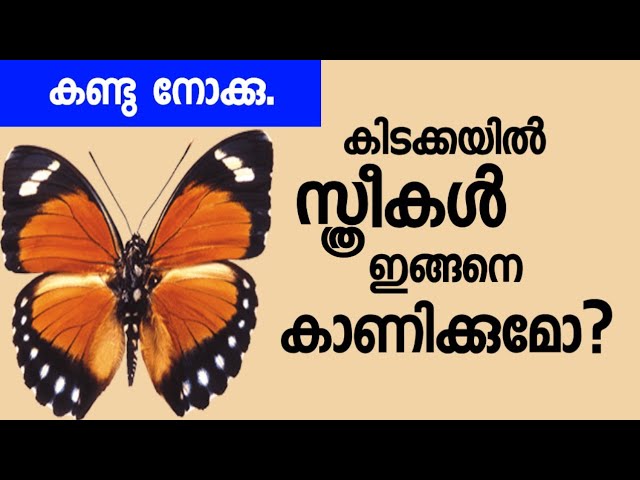 സ്ത്രീകൾ ഇങ്ങനെയാണോ?? ||Malayalam health tips..||