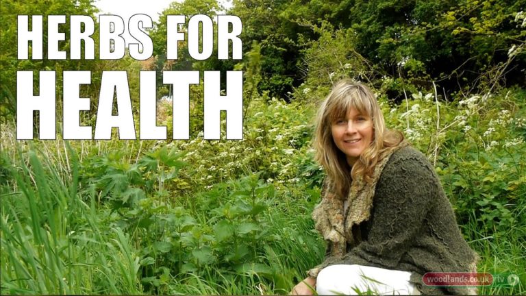 Herbs for Health Herbs for Health