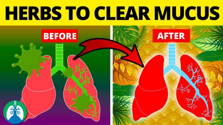5 Herbs for Lung Health, Clearing Mucus, COPD, and Killing Viruses 5 Herbs for Lung Health, Clearing Mucus, COPD, and Killing Viruses