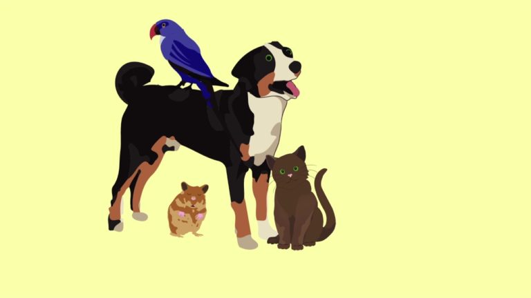 The hidden work of pets in helping people with mental health problems The hidden work of pets in helping people with mental health problems
