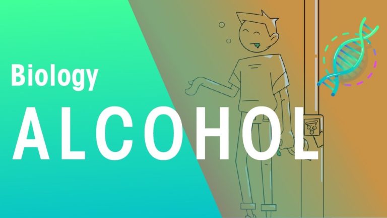 Alcohol | Health | topic | FuseSchool