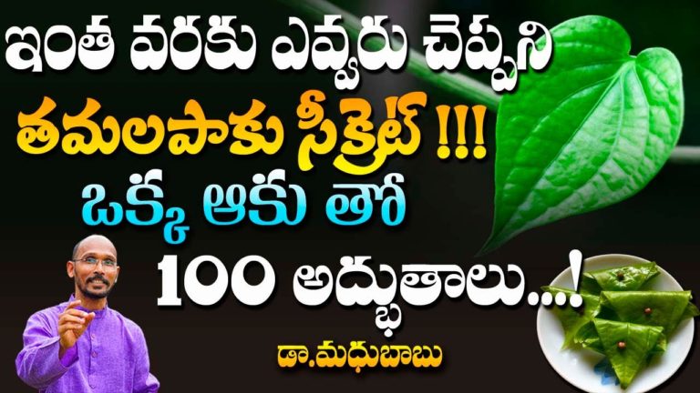 తమలపాకు సీక్రెట్ ఒక్క ఆకు తో 100  అద్భుతాలు..! | Dr. Madhu Babu | Health Trends |