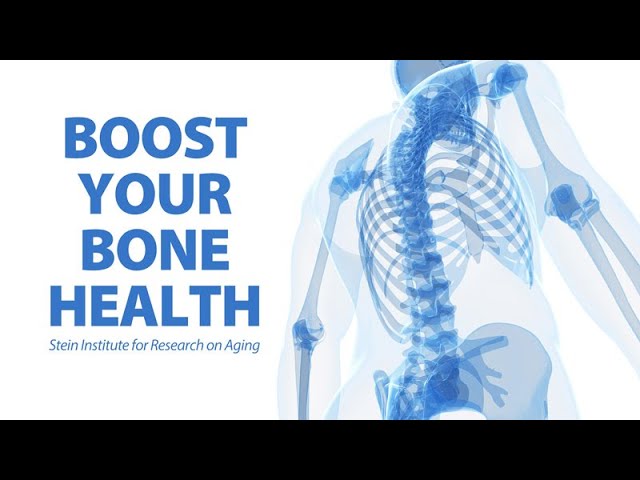 Boosting Bone Health to Prevent Injury and Speed Healing  – Research on Aging