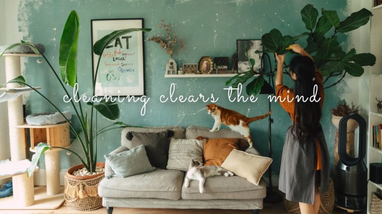 #44 Thoughts About Mental Health While Cleaning The House