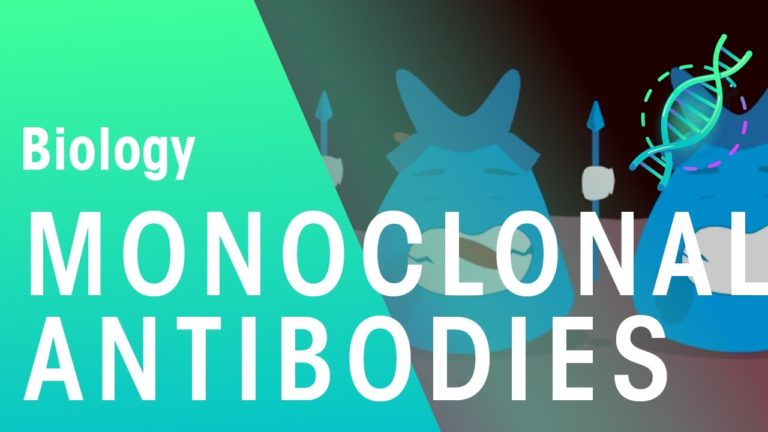 Monoclonal Antibodies | Health | Biology | FuseSchool Monoclonal Antibodies | Health | Biology | FuseSchool