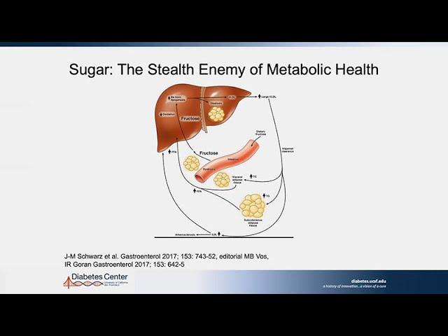 Eating Precisely: Merging Nutrition with Individualized Factors to Optimize Metabolic Health Eating Precisely: Merging Nutrition with Individualized Factors to Optimize Metabolic Health