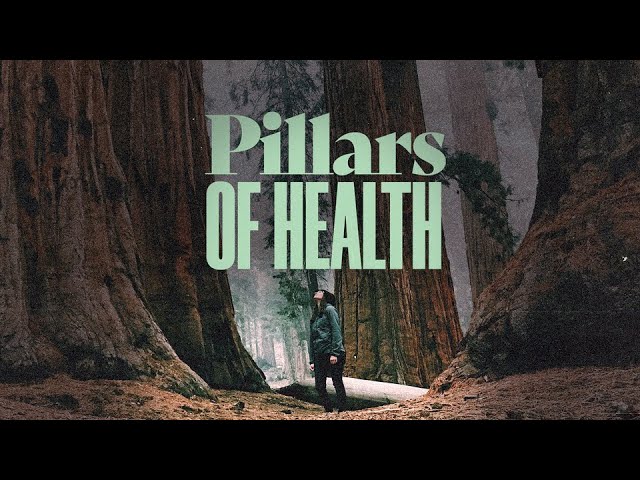 The Pillars of Health