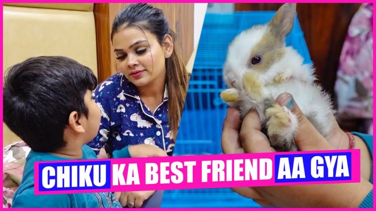 Chiku Ka Best Friend Aa Gya || Family Fitness @Chirayu Payal Malik @Armaan Malik