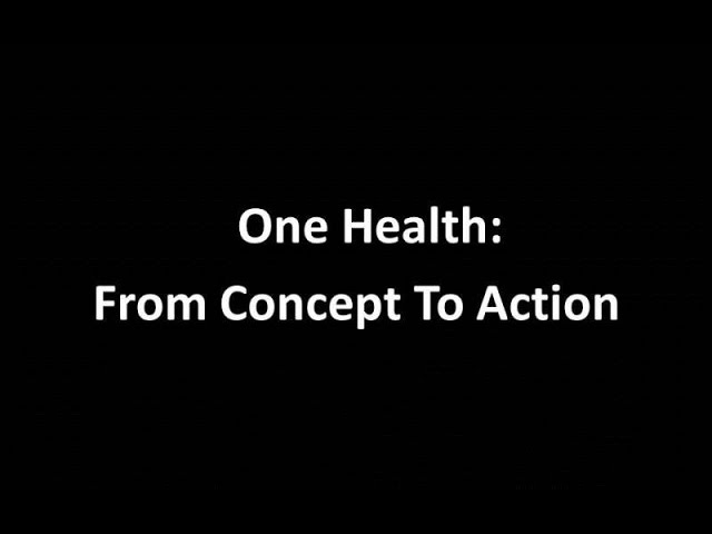 One Health: From Concept to Action