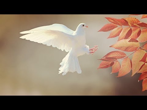 7 Gita Verses On Enlightenment And Self Realization 7 Gita Verses On Enlightenment And Self Realization