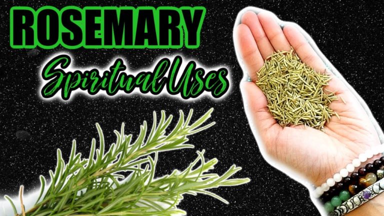 🔥 SPIRITUAL AND MAGICAL WAYS TO USE ROSEMARY 🔮 MENTAL CLARITY 🔥