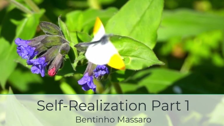 Self Realization Part 1 – Bentinho Massaro