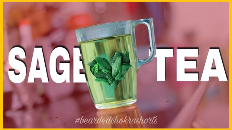 How To Make Sage Tea For Immunity, Cough Reduction & Mental Clarity #beardedchokra #shorts